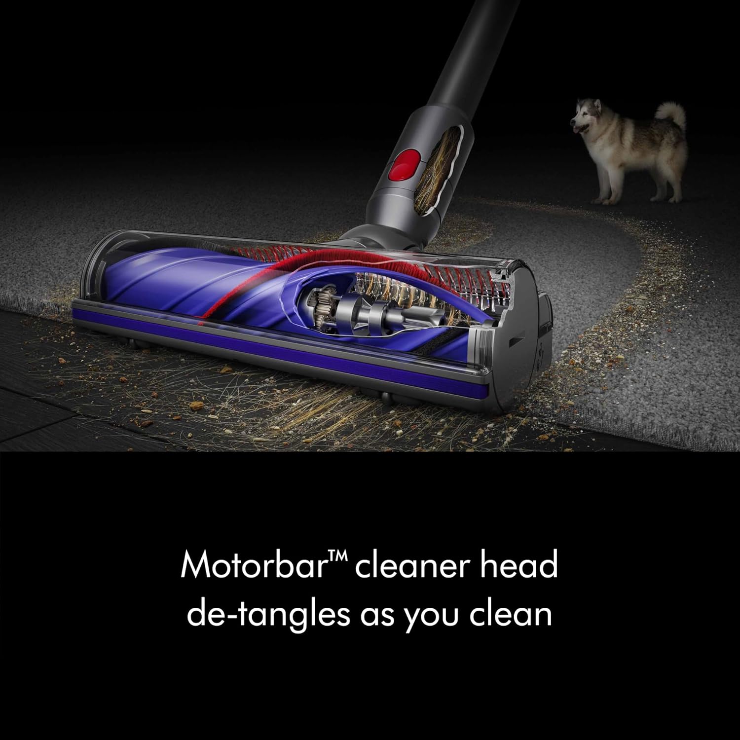 dyson v8 cordless vacuum, cleans hard floors and carpets, detangles, converts to handheld, 115aw, 2 power modes, up to 40 minutes¹