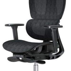 Ergonomic Mesh Office Chair with 3D Adjustable Armrest,Plastic Frame High Back Desk Computer Chair Ergo3d Ergonomic Office Chair with Wheels for Home & Office Black