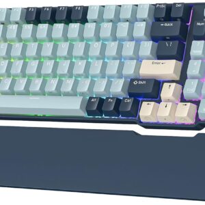RK ROYAL KLUDGE RK96 RGB Limited Ed, 90% 96 Keys Wireless Triple Mode BT5.0/2.4G/USB-C Hot Swappable Mechanical Keyboard w/Wrist Rest, Software Support & Massive Battery, RK Yellow Switch