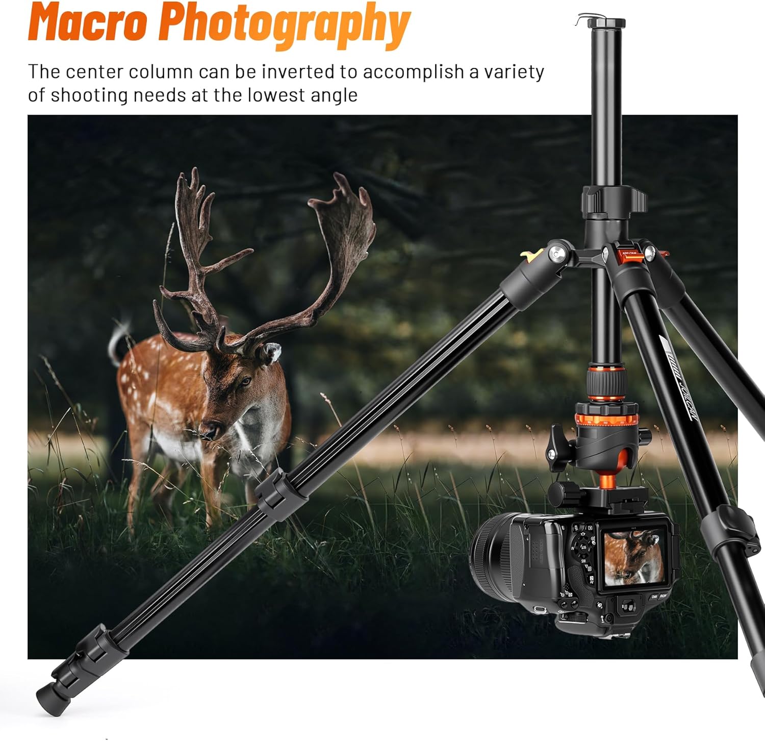 joilcan 66" camera tripod, travel tripod for camera with 360° ball head & phone holder, lightweight compact tripod for dslr/smartphone photography, max load 22lbs