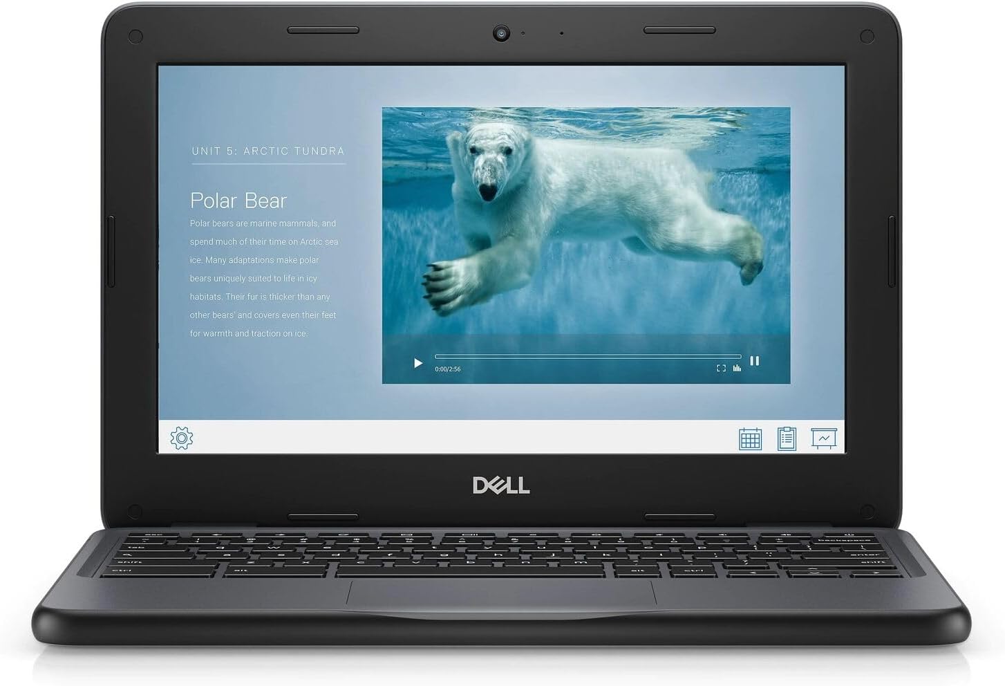 dell chromebook 11 3100 11.6"" touchscreen chromebook hd 1366 x 768 celeron 4gb ram 32gb flash memory, black (renewed)