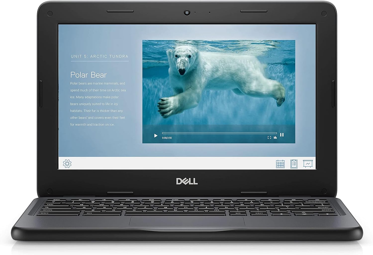 dell chromebook 11 3100 11.6"" touchscreen chromebook hd 1366 x 768 celeron 4gb ram 32gb flash memory, black (renewed)