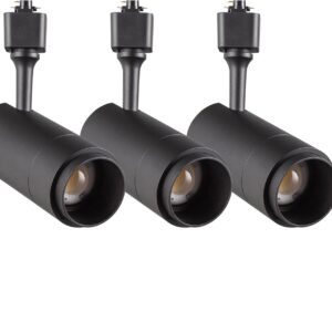 LED Track Lighting Heads Dimmable 24W 5CCT 2700K/3000k/3500k/4000k/5000k,Single Circu H Track Lighting Heads,Zoomable Beam 15° to 60° Ideal for Accent Art and Task Lighting,(3 Pack - Black-5CCT)