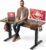 SIAGO Electric Standing Desk Adjustable – 48 x 24 Inch Sit Stand up Desk with Cable Management – 3 Memory Preset Adjustable Height Table