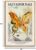 Eliko Canvas Prints Salvador Dali Wall Art Prints Gallery Wall Art Butterfly Picture Modern Surrealism Wall Art Contemporary Wall Art for Living Room, Bedroom 16″x 24″ Natural Framed