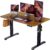 ErGear Height Adjustable Electric Standing Desk, 48 x 24 Inches Sit Stand up Desk, Memory Computer Home Office Desk with Two-Piece Desktop (Vintage Brown)